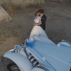 Matrimoni in volo 2014